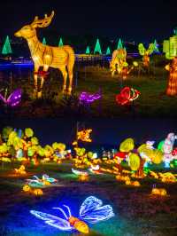 寧波達人村·秋假必玩雙棲