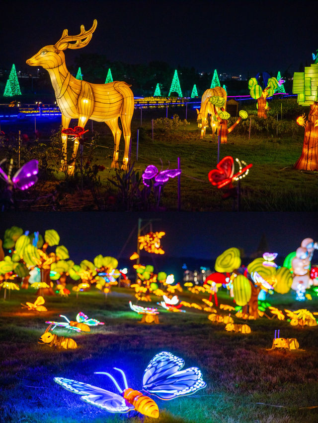 寧波達人村·秋假必玩雙棲