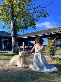 麗江|在白沙古鎮的充電日,把時間還給自己