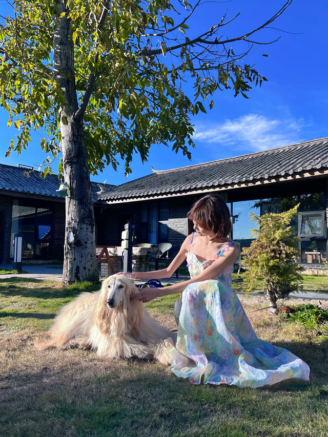 麗江|在白沙古鎮的充電日,把時間還給自己 麗江|在白沙古鎮的充電日,把時間還給自己