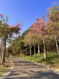 不敢相信這是泉州!?發現適合發呆躺平的好去處