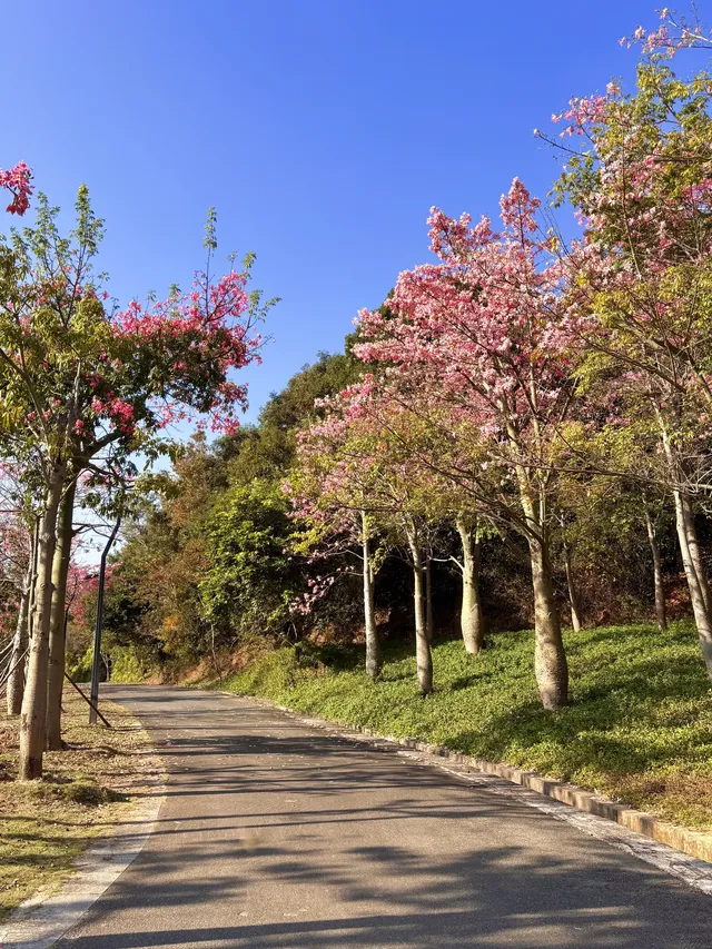不敢相信這是泉州!?發現適合發呆躺平的好去處 不敢相信這是泉州!?發現適合發呆躺平的好去處