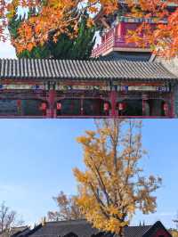 深秋的廣富林|把江南詩意焊在骨子裡的絕美打卡地