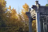 12.6 湖州秋景city walk路線