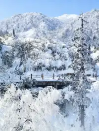 不去川西也能玩雪!部分無門票!