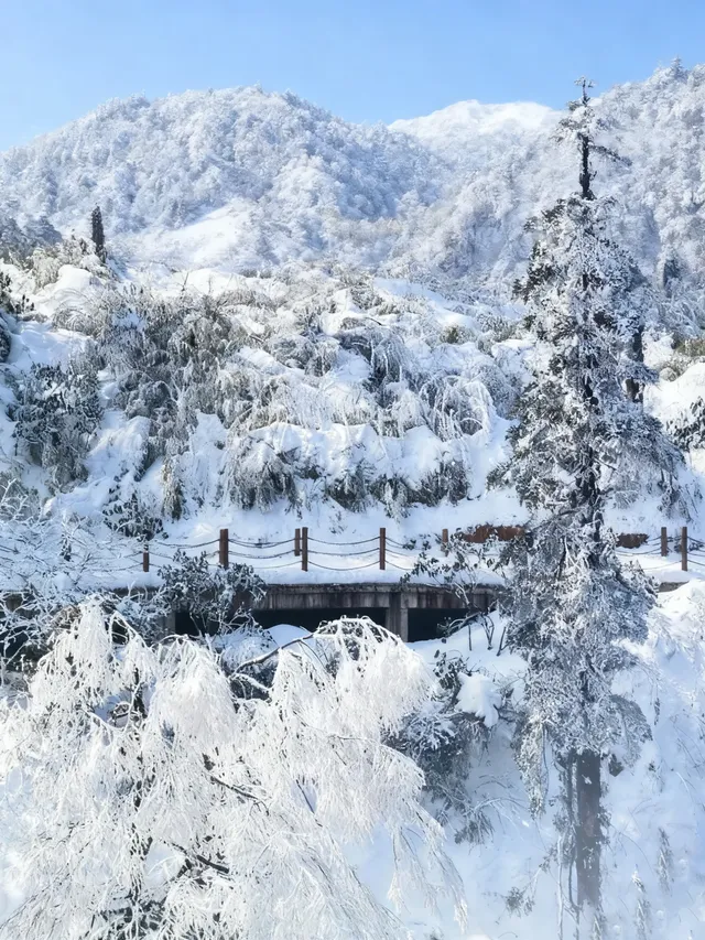 不去川西也能玩雪!部分無門票! 不去川西也能玩雪!部分無門票!