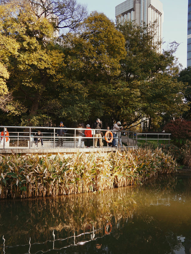 魔都冬日限定延中廣場公園的秘密花園超好拍! 魔都冬日限定延中廣場公園的秘密花園超好拍!