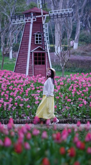 ดอกทิวลิปบานสะพรั่งในสวนริหู สถานที่ท่องเที่ยวในฤดูใบไม้ผลิที่คนไม่ค่อยนิยมมาเที่ยวในเมืองหนิงโป