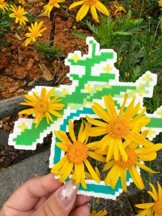 สวนโมเจียงเป่ยเปียว | ฤดูใบไม้ผลิได้เปลี่ยนความอ่อนโยนทั้งหมดให้กลายเป็นดอกไม้