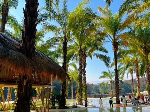 トロピカルフラワーガーデンで気軽に仙気を撮影 | Trip.com 景洪