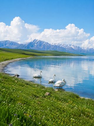 Live update from Sayram Lake. Please consider carefully before visiting