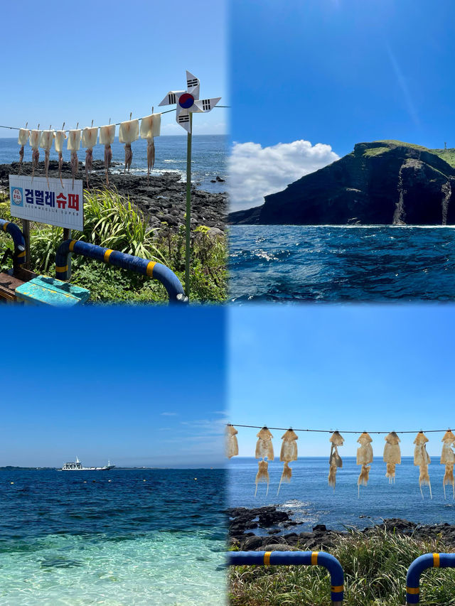 濟州島三刷已回6天玩透!消費觀徹底被治癒