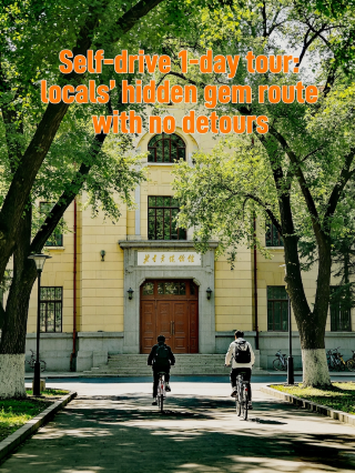 One-day self-driving tour, local hidden gem route, no detours!