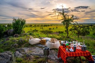 How to plan a 2026 family trip to Tanzania? A guide to 5 family-friendly lodges