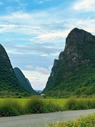 Gupo Mountain National Forest Park: My Refreshing Pure Forest Escape in Guangxi