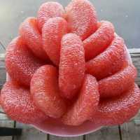 สุราษฎร์ธานี