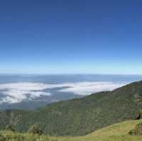 ดอยอินทนนท์⛰️🍃