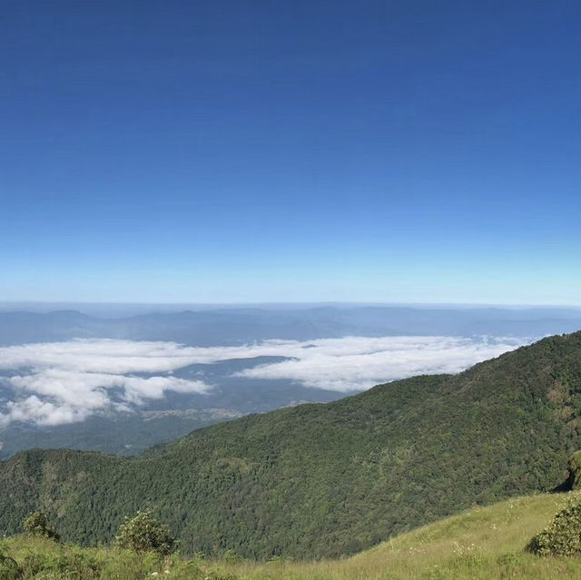 ดอยอินทนนท์⛰️🍃