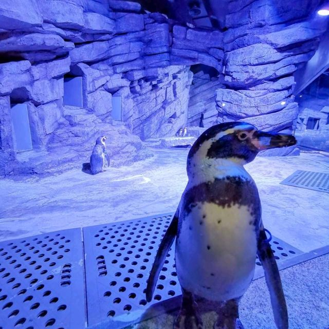 Aquaria Phuket
