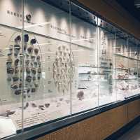 An archaeological discovery in the MTR station