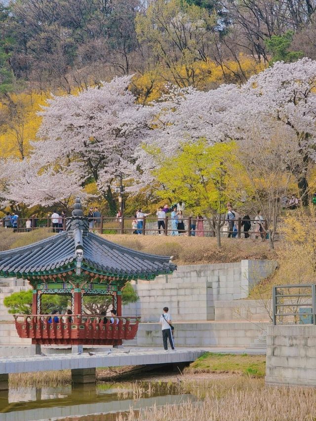 봄꽃 가득해 인기만점인 북서울꿈의숲🌱🌺🪻