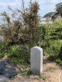 유채꽃이 만개한 수성당에서 힐링 가득 하루 보내기🌼