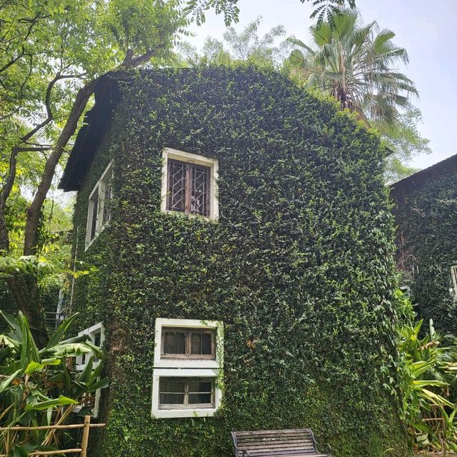 คาเฟ่โรงบ่ม เก๊าไม้ล้านนา 