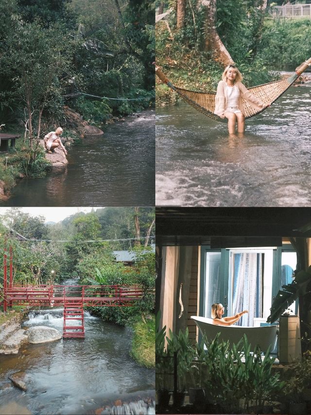 🌿 มัดรวม 4 ที่พักเชียงใหม่  ติดลำธาร บรรยากาศดี 