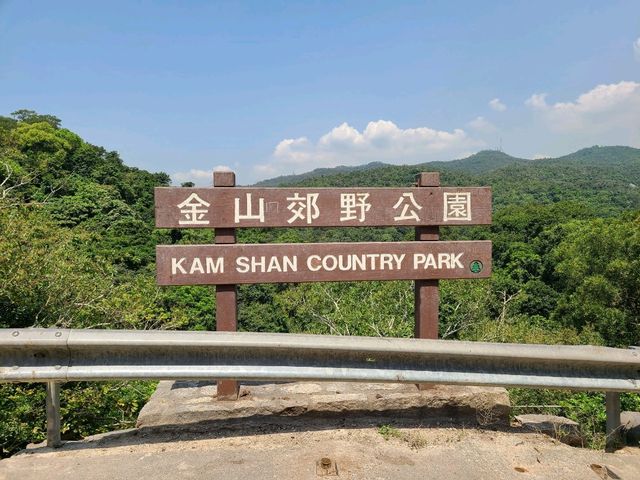 【水塘界四小龍~金山郊野公園🐒】
