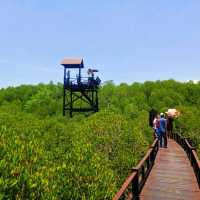 วนอุทยานปราณบุรี แหล่งเรียนรู้ป่าชายเลน