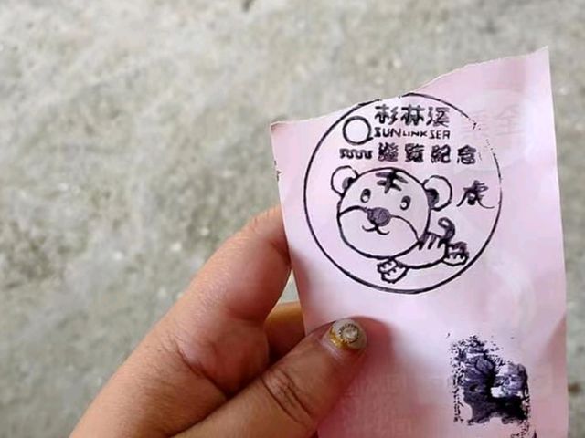 絕美仙境-溪頭杉林溪