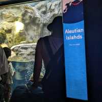 【巨大水槽を浅瀬から深層まで眺める】水族館