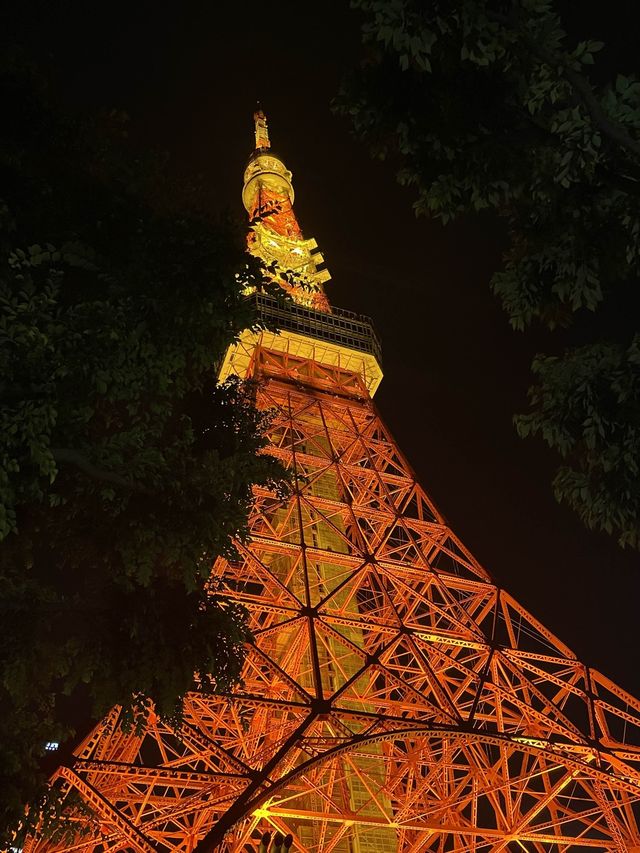 도쿄타워와 함께하는 도쿄의 밤🌃🗼