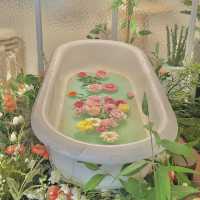 꽃욕조 포토존이 있는 대구 감성카페  🌼🍃🌸