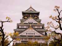 Osaka Castle in Spring