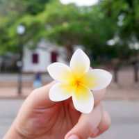พระธาตุพูสี