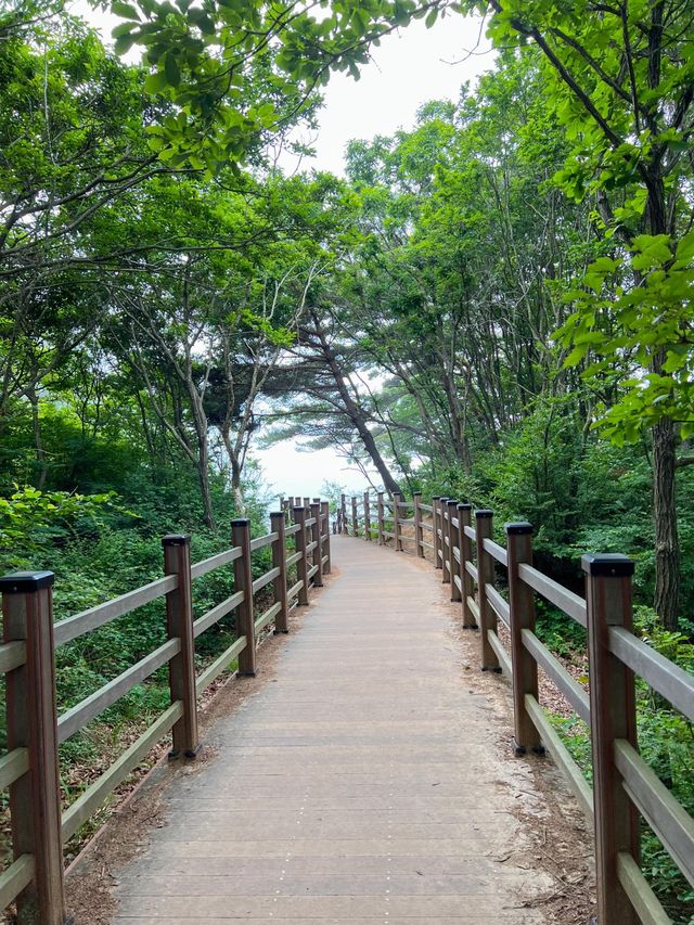 흐린날의 하나개 해수욕장☁️