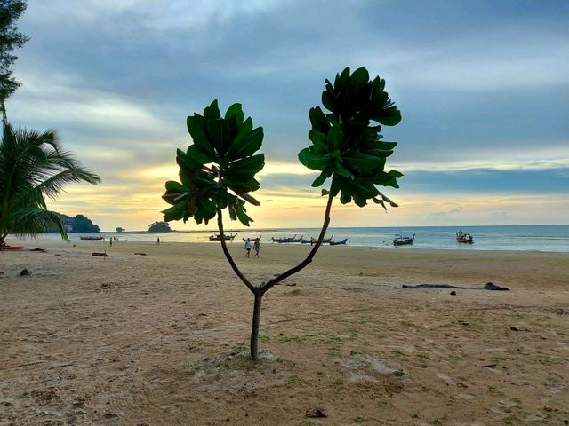 เดินเล่นหาดในยางยามเย็น