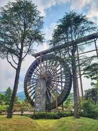 영광의 대표적인 여행지 불갑사 테마공원🌲
