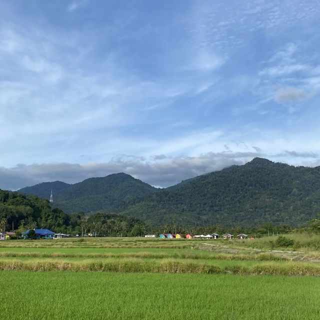 Greenery Landscape of Lenggong