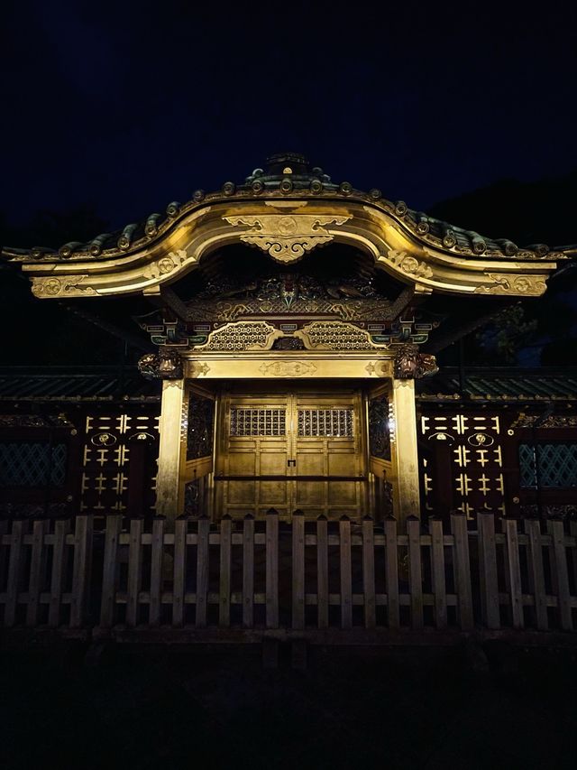 【東京都/上野東照宮】夢叶う光の夜