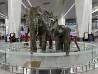 Spending Time in India’s largest and most advance Airport, Indhira Gandhi International Airport