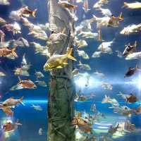 Aquaria KLCC: Must Visit Attraction! 🇲🇾✨