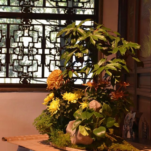 三湘庭 🌺🏯嶺南庭院的花香🌳💐