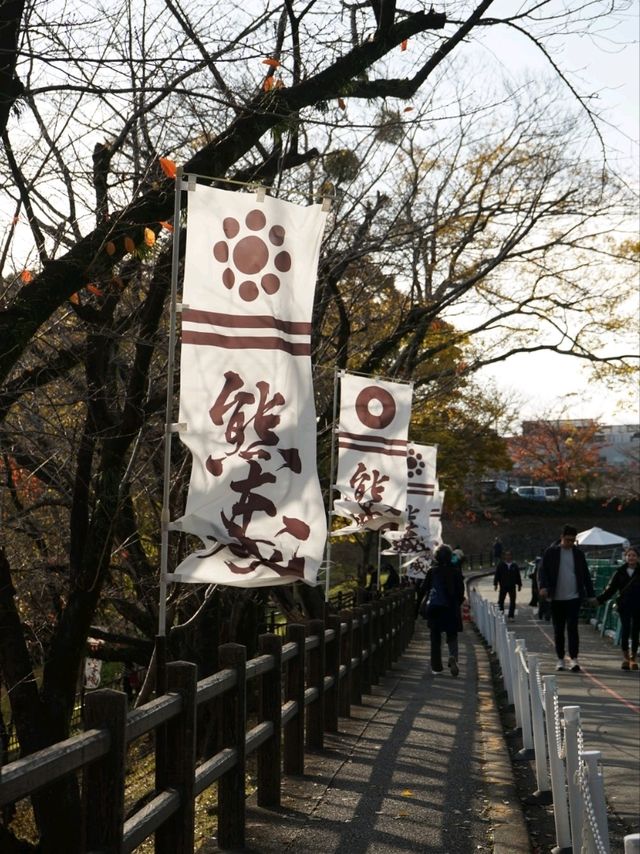 📸秋末福岡-熊本之旅🔥🇯🇵北九州JR Pass 期限內無限次乘坐❤️‍🔥🫶