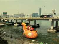 港島270度維港景新淨酒店