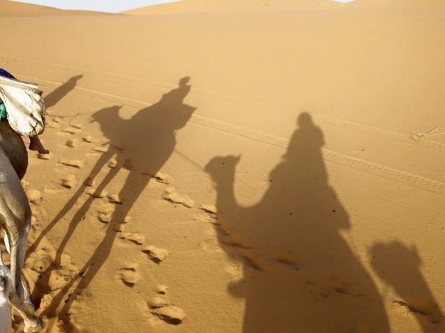 작렬하는 태양의 사하라 사막 🐫🌵