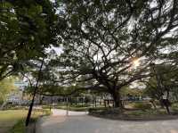 九龍城廣場旁邊嘅賈炳達道公園