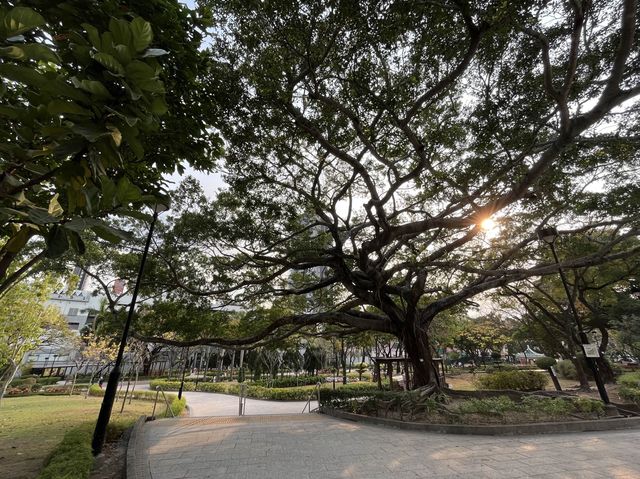 九龍城廣場旁邊嘅賈炳達道公園