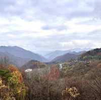 Lovely Autumn escape from busy Seoul !! 